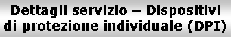 Casella di testo: Dettagli servizio  Dispositivi di protezione individuale (DPI)