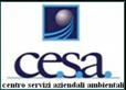 Cesa Consulting S.r.l. Progettazione di SISTEMI DI GESTIONE PER LA CERTIFICAZIONE DI SISTEMI DI GESTIONE DELLA QUALITA AMBIENTALE UNI EN ISO 14001:2004